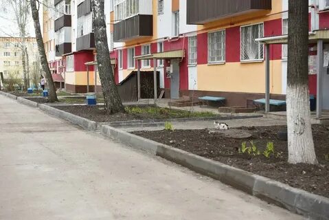 Двор челны