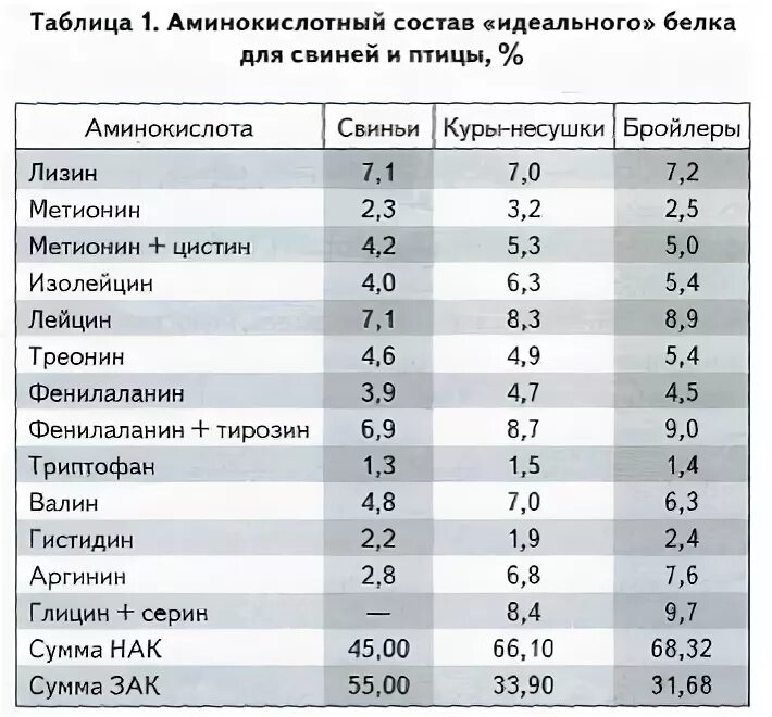 Белки аминокислотный состав белков. Гороховый белок аминокислотный состав. содержание аминокислот в белке. аминокислотный состав белка таблица. содержание аминокислот в идеальном белке.