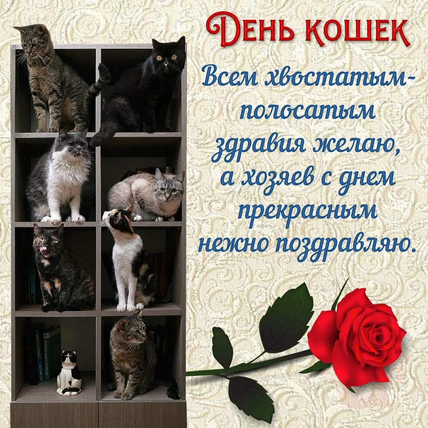 Когда день котят. Всемирный день кошек. поздравление с днем кошек. день кошек открытки. день кошек поздравления открытки.