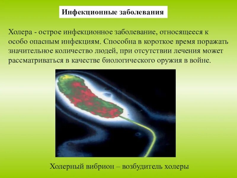 Холера презентация инфекционные болезни. Особо опасные инфекции холера презентация. Особо опасные инфекции холера. Примеры холеры