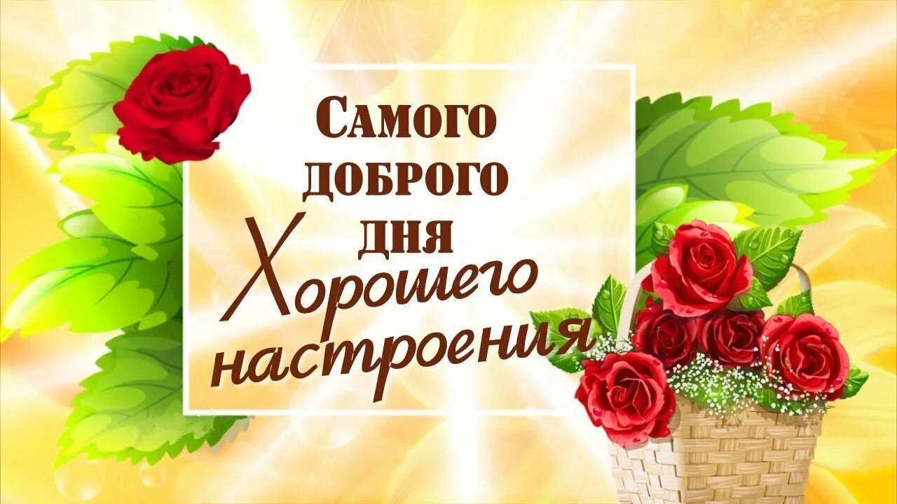 Всего вам самого доброго. Доброго дня и хорошего настроения. хороший день. хорошего дня и отличного настроения. доброго дня и отличного настроения открытки.