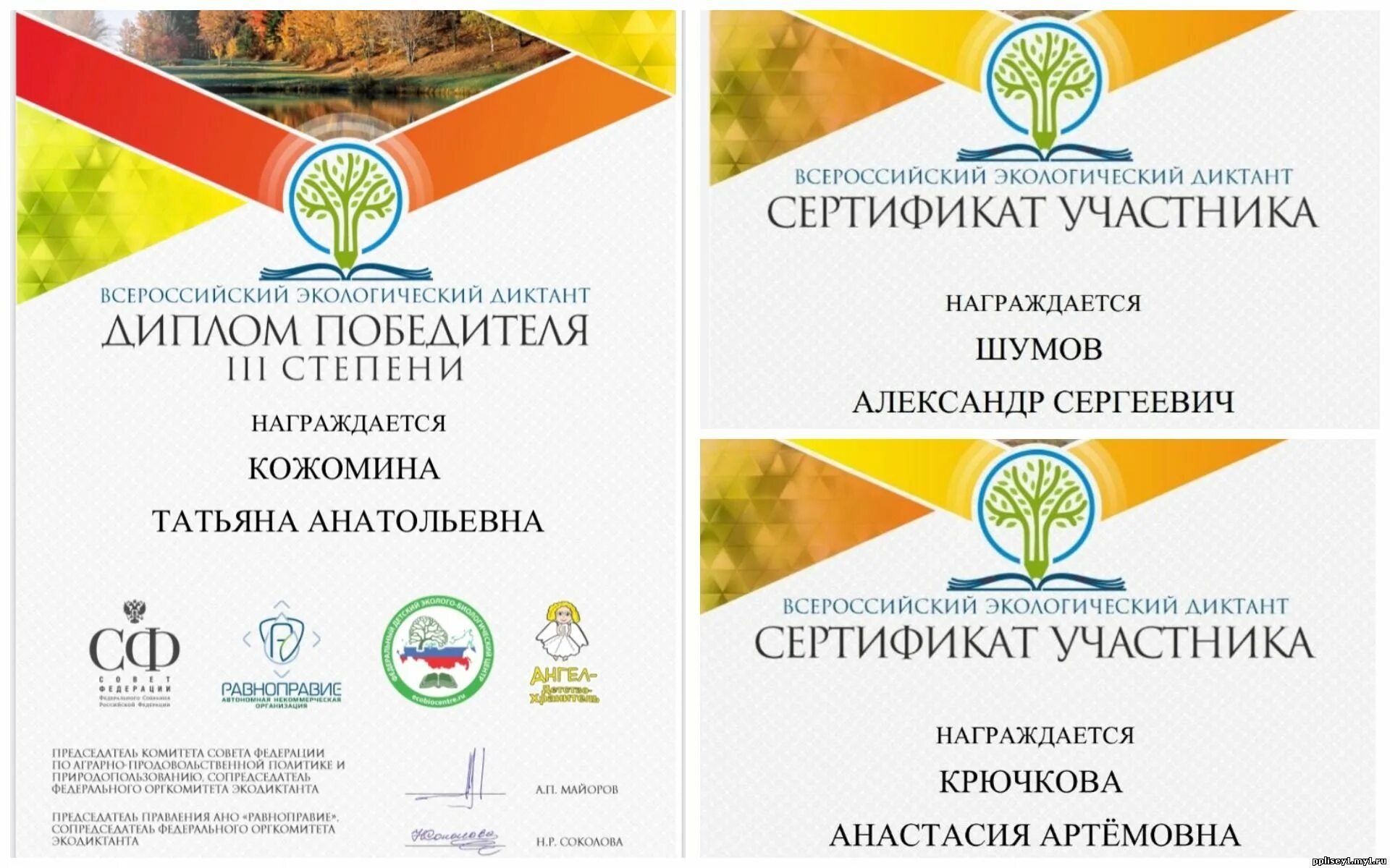 Результат диктанта 2023. Всероссийский экологический диктант 2021 сертификат. Экологический диктант сертификат. Экологический диктант 2021 сертификат.