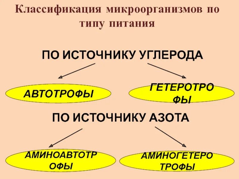 Классификация бактерий. Классификация бактерий по источнику энергии. Источник микроорганизмов. Современная классификация микроорганизмов микробиология. Пищевые потребности бактерий.
