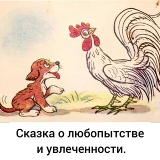 Петух и собака аудиосказка слушать