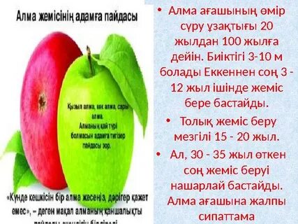 Сауыншы ана арбады