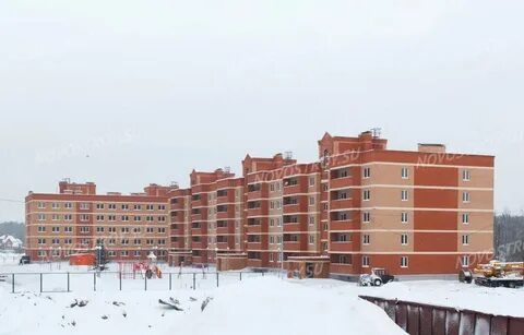 Большие жеребцы