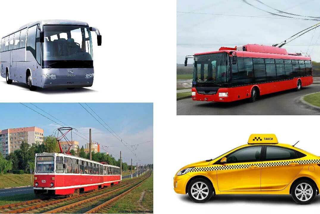 Городские автобусы и троллейбусы. Наземный транспорт. Пассажирский транспорт. Пассажирский транспорт для детей. Наземный пассажирский транспорт.