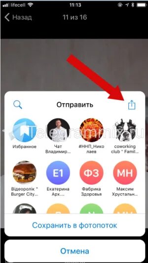 Как сохранить фотографию из телеграмма на айфоне. Как сохранить видео в телеграмме на айфоне. Как сохранить фотографии в телеграмме. Как сохранить фото из телеграмма на айфон.