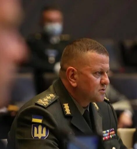 Валерием федоровичем залужным