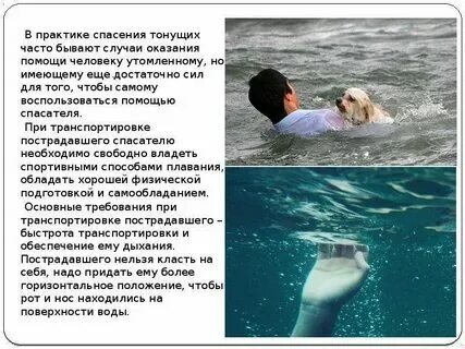 Приснилось что спасаю утопающих. Приснилось что спасаю утопающих