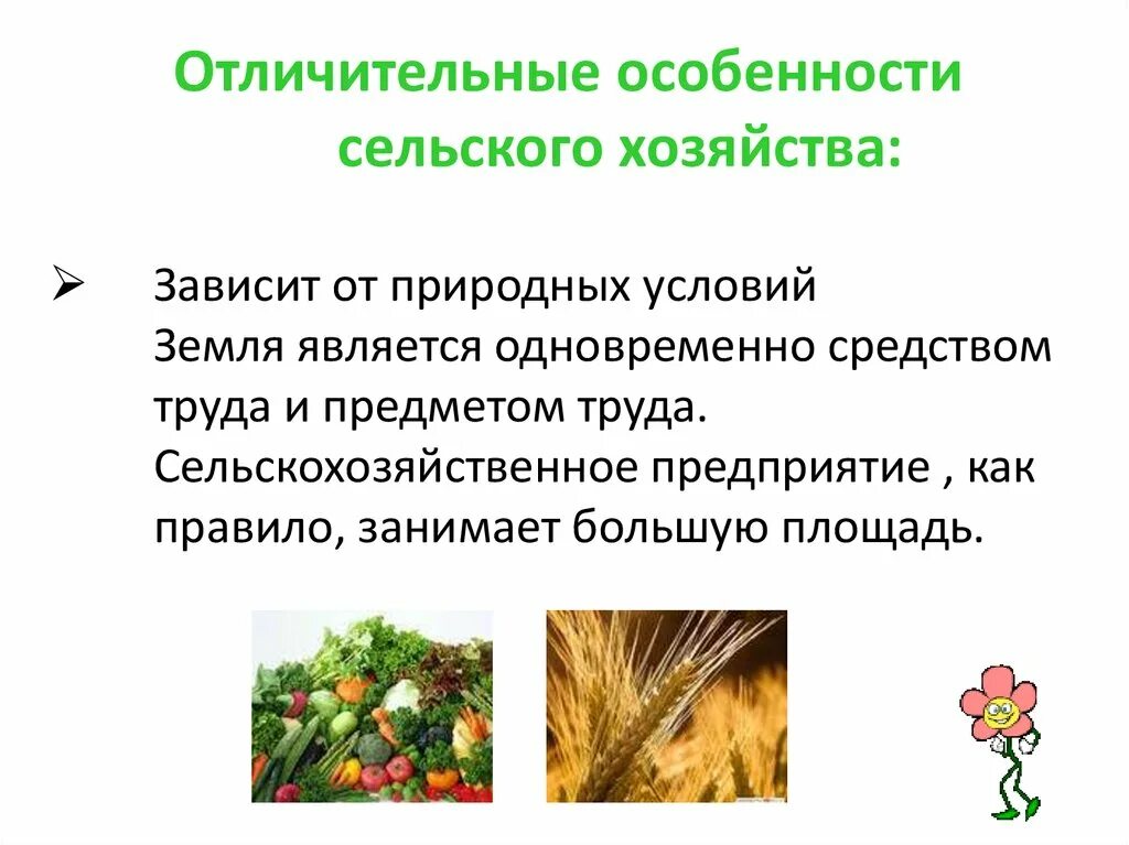 Характеристика растениеводства. Отличительные особенности сельского хозяйства. Презентация на тему сельское хозяйство