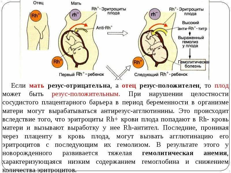 Положительный резус фактор матери и отрицательный плода. У матери положительный резус у ребенка отрицательный. Резус отрицательная мать и резус положительный плод. Если резус-фактор у матери отрицательный а у отца положительный. Беременность резус отрицательный и положительный