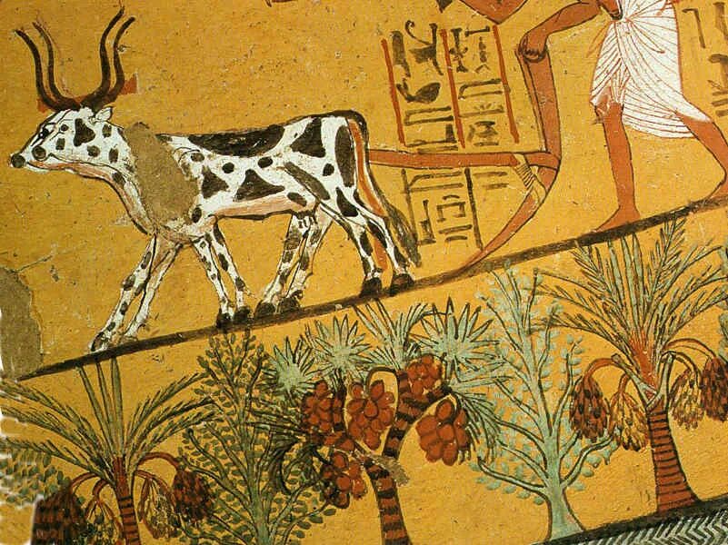 Письменность финикийцев. Азбука древней греции. Древняя письменность финикийцев. Как писали в древнем египте древние финики. Древние иероглифы.