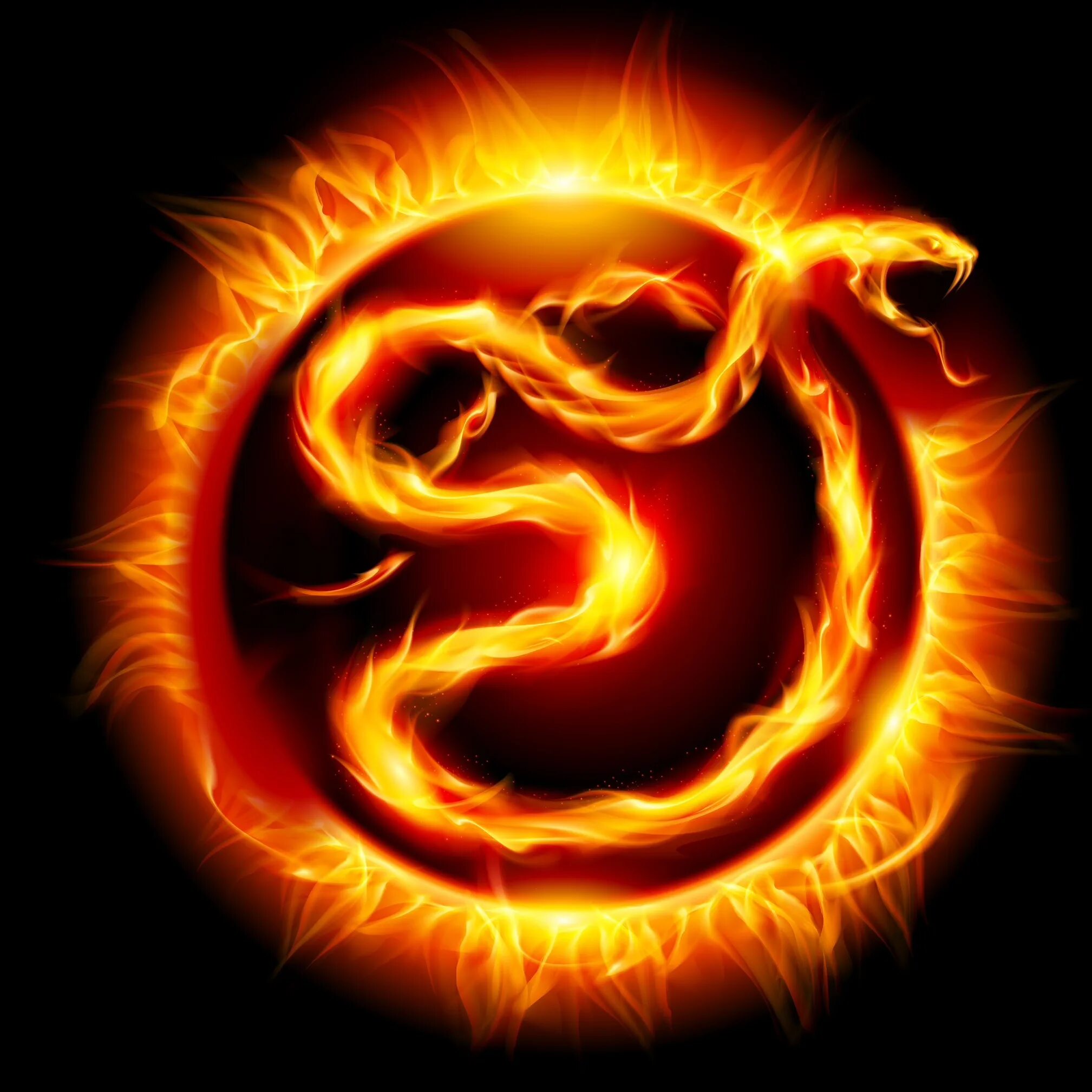 Огненная змея. Огненные символы. Красная Огненная змея. Огненная Кобра. Змея в огне