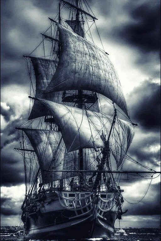 THE BLACK PEARL (Original Mix) от OVNIBOY на Beatport