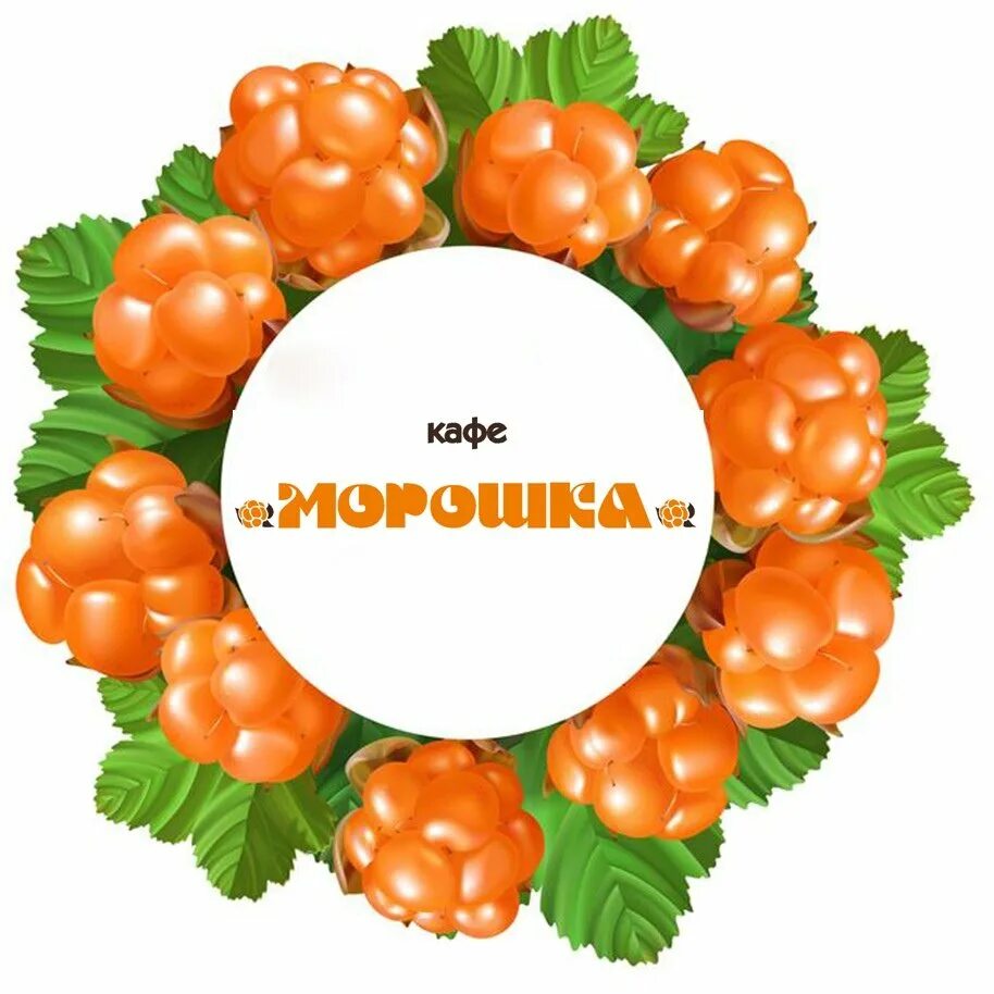 Морошка групп. Морошка этикетка. морошка логотип. морошка вектор. морошка на белом фоне.