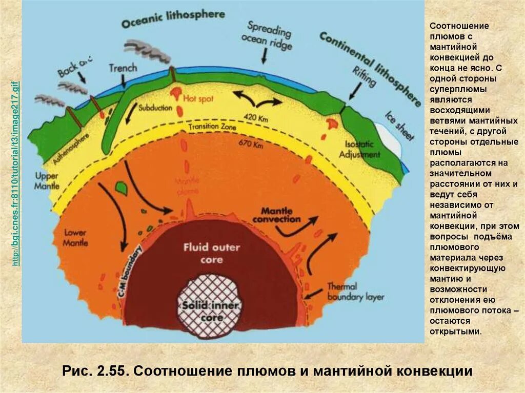 Движение мантии. Конвекция мантия астеносфера. конвективные потоки в мантии. конвекция в мантии земли. конвективные движения в мантии.