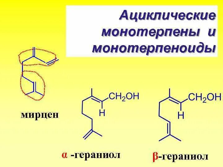 Гераниол что это. Ациклические монотерпены. Ациклические терпеноиды. Мирцен. Алифатические монотерпены.