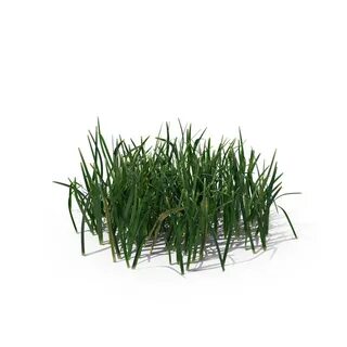 Simple grass