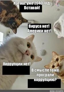 Смысле тоже