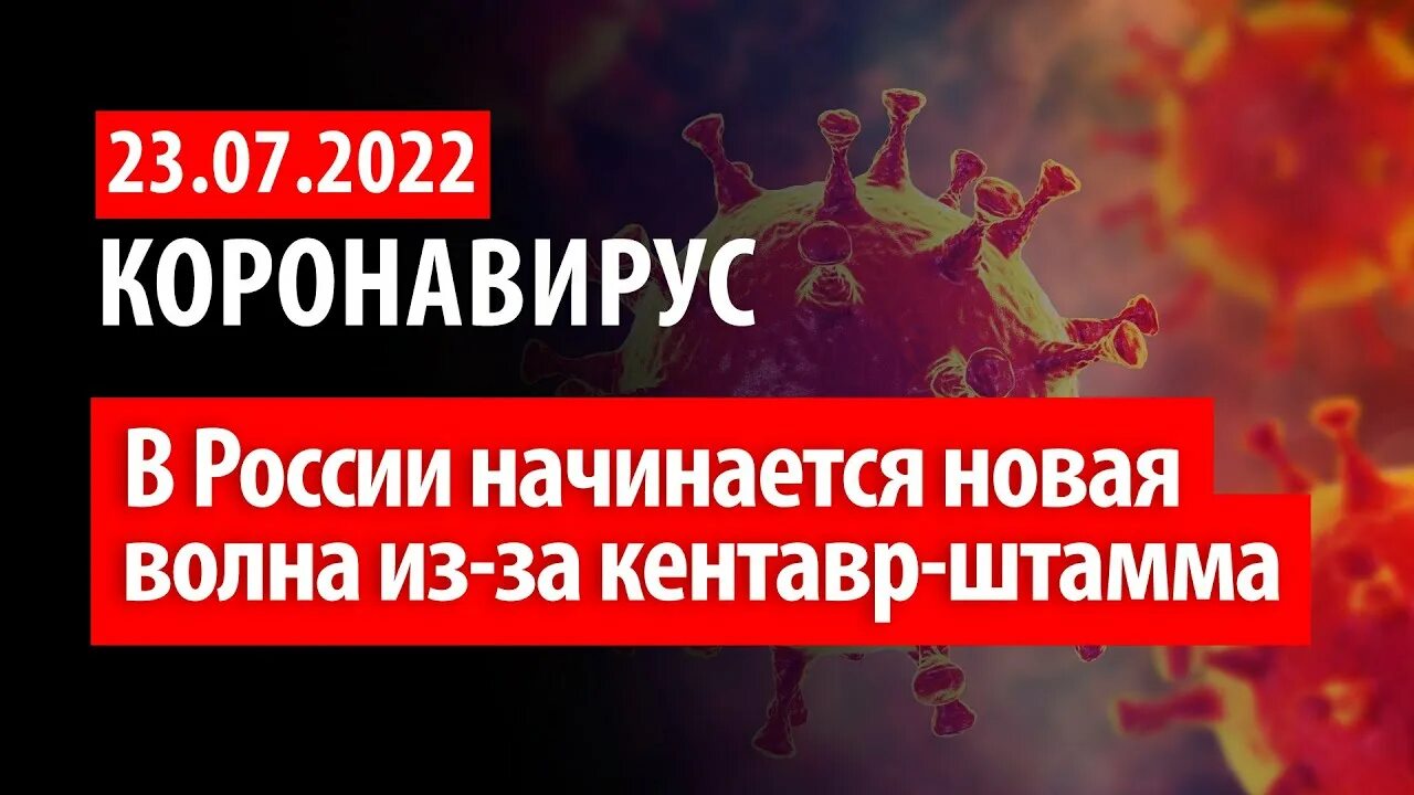 Будет новая волна коронавируса. Будет новая волна коронавируса. Будет новая волна коронавируса. Будет новая волна коронавируса. Будет новая волна коронавируса.