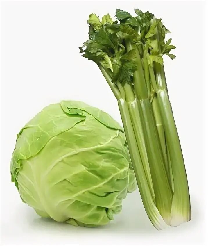 салат из капусты сельдерея и яблока. салат с капустой яблоком и сельдереем. салат из белокочанной капусты с яблоками и сельдереем. капуста сельдерей. сельдерей стеблевой.