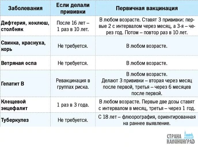 Прививки от болезней. Краснуха календарь прививок. Прививки в 30 лет. Какие прививки делают после 30 лет. Прививка от ковида в 2024 году