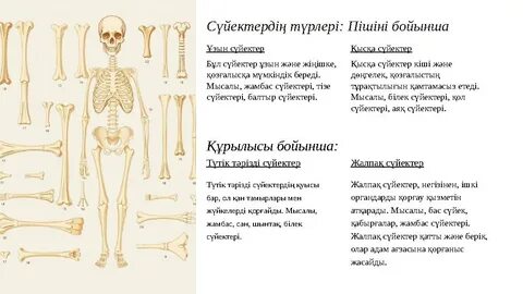Порно видео: Брат трахает қарындасын