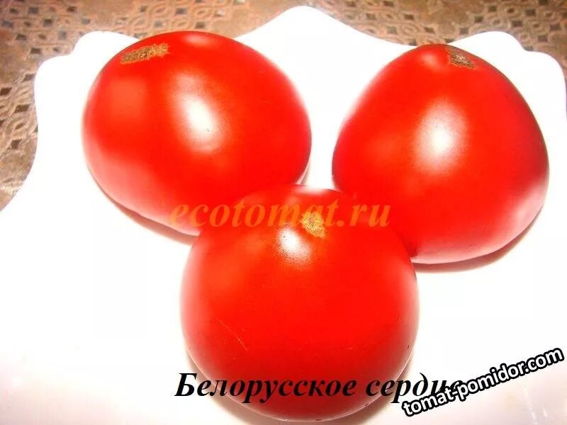 Белорусское сердце - Альбомы - tomat-pomidor.com