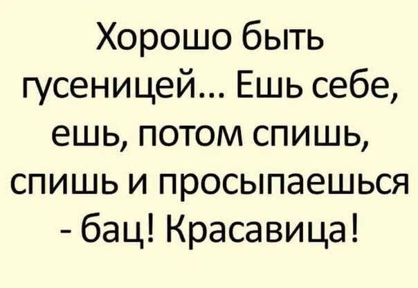 Смешной случай кратко. Смешные истории. Короткие смешные рассказы. Интересные смешные истории. Самые смешные рассказы.