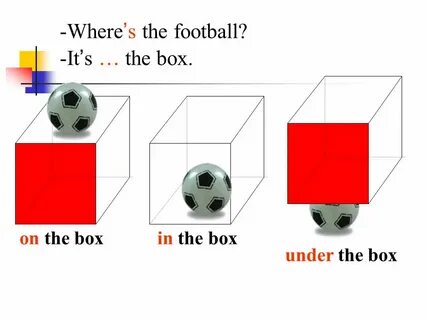 Where is box