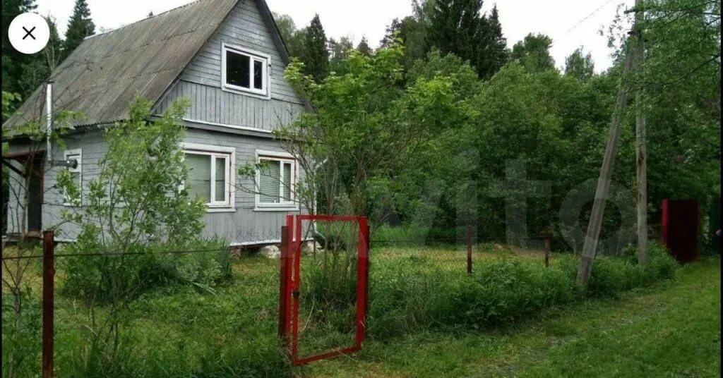 Снт здоровье отзывы. Снт здоровье пушкино. Снт здоровье 3. Снт здоровье 2. Снт здоровье отзывы.