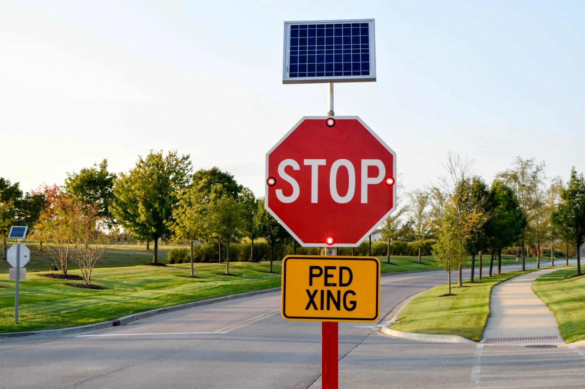 Stop the ped 4. Отличие stop the ped от ultimatebackup. Отличие stop the ped от ultimatebackup. Отличие stop the ped от ultimatebackup. Stop the ped.