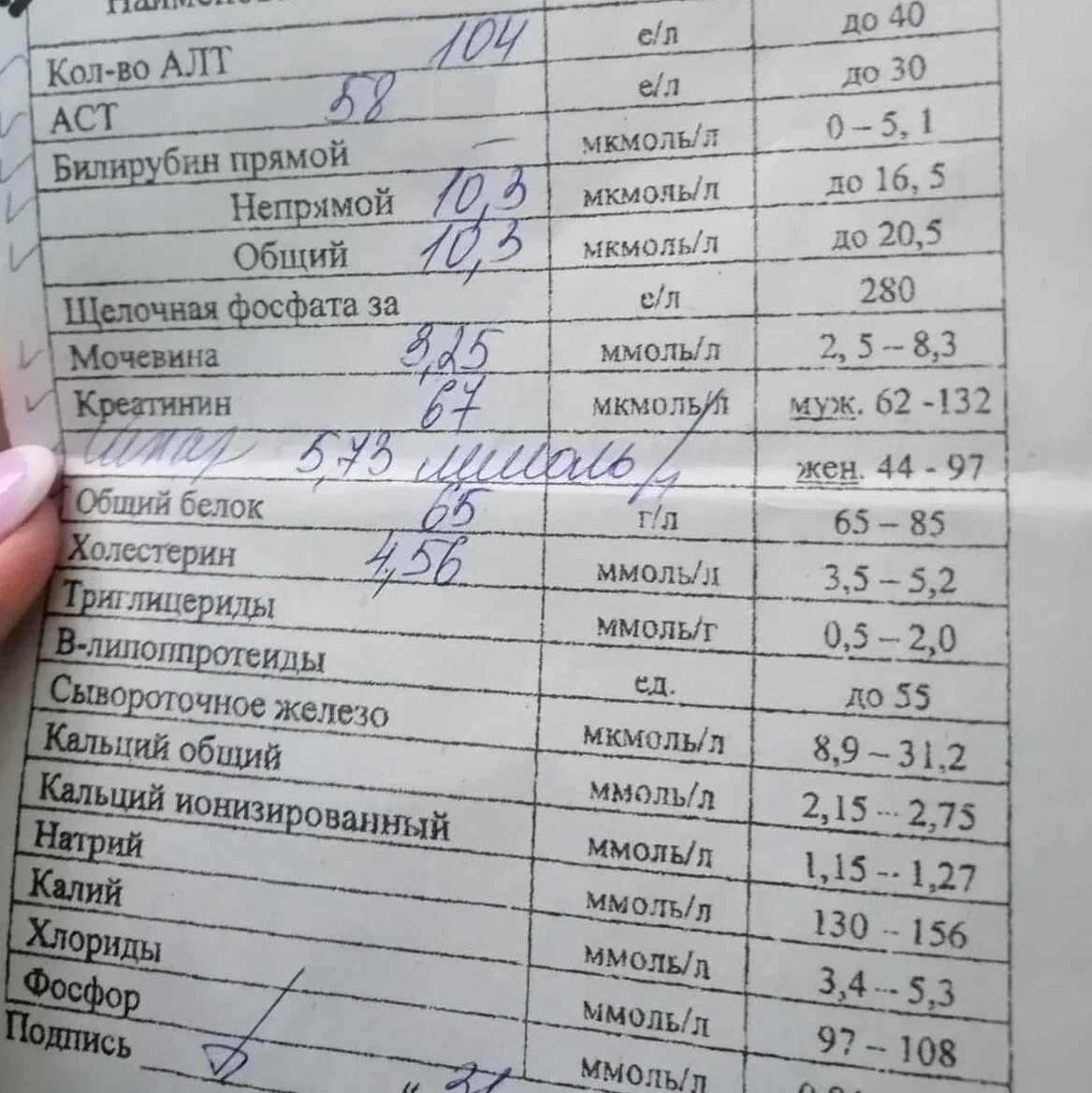 Норма алт у человека. Нормы показателей биохимического анализа аст алт. биохимический анализ крови алт норма. алт аст билирубин норма. анализ крови норма аланинаминотрансфераза.