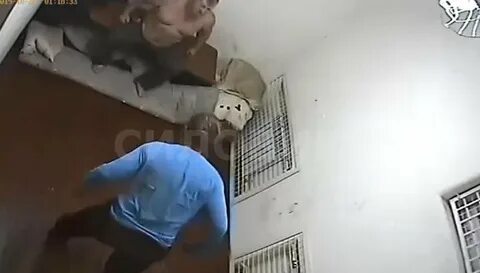 Хулиганство в отделе полиции
