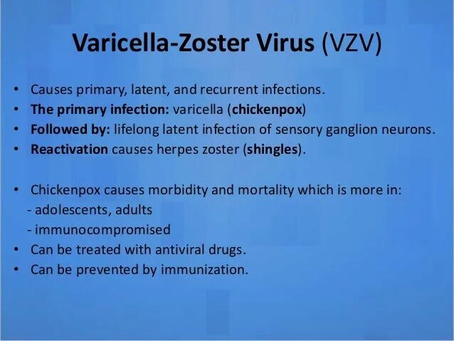 Варицелла зостер анализ. АТ varicella zoster virus (VZV) IGG.