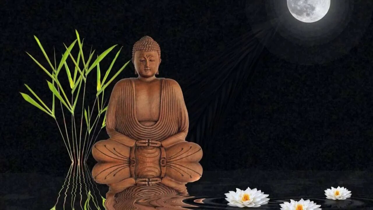 Amd zen4 чиплет. Камни дзен. Zen логотип. Релакс. Дзен.