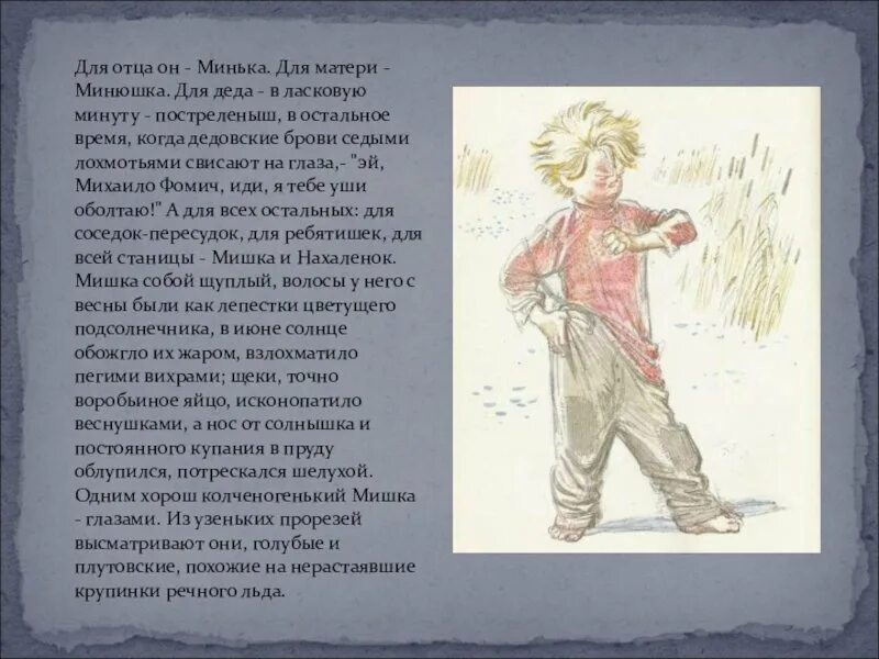 Нахаленок шолохов кратко. Нахаленок шолохов кратко. Нахаленок конфеты. Нахаленок книга. Нахаленок шолохов кратко.