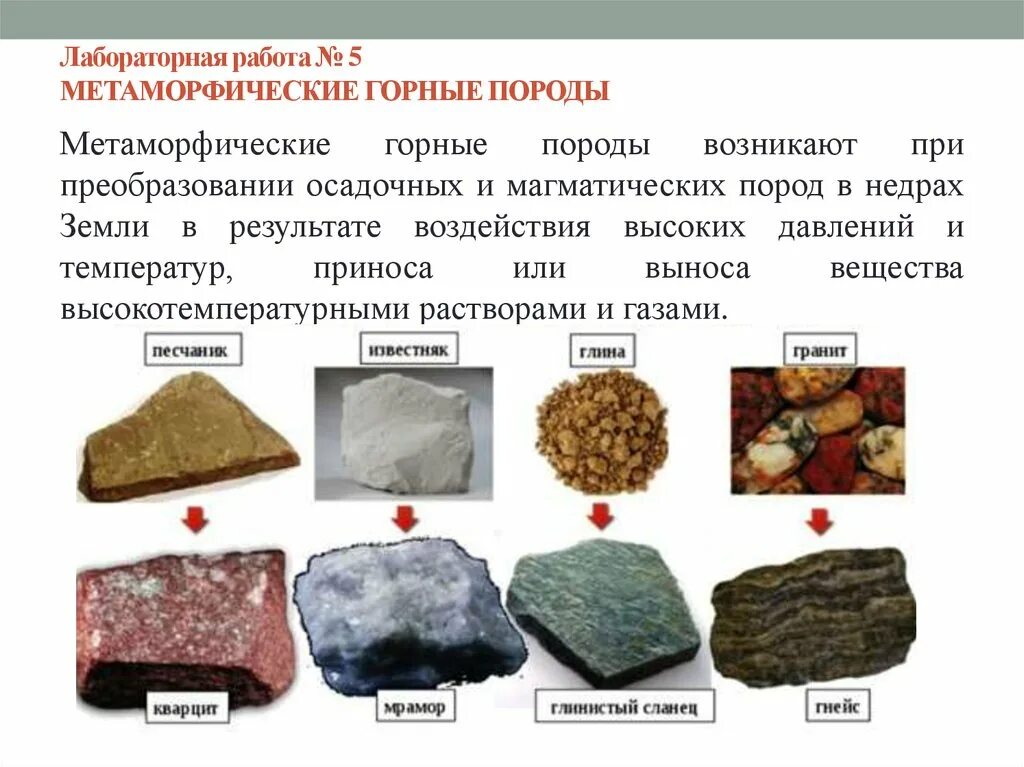 Осадочные магматические осадочные метаморфические. Метаморфические из магматических горных пород. Песчаник метаморфические горные породы. Осадочные и метаморфические породы. Как образуются метаморфические породы