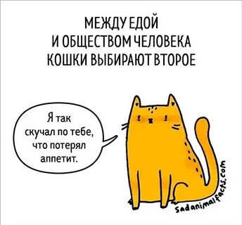 Милые факты