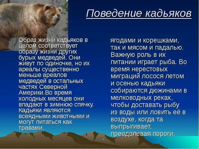 Информация о медведе. Медведь характеристика животного. Медведь характеристика животного. Сообщение о медведе. Бурый медведь презентация.