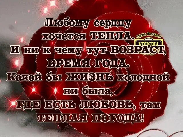 Ах как сердце хочется чего нибудь хорошего. Любому сердцу хочется тепла. тепла в сердце. цитаты душевные и теплые. любимому сердцу хочется тепла.