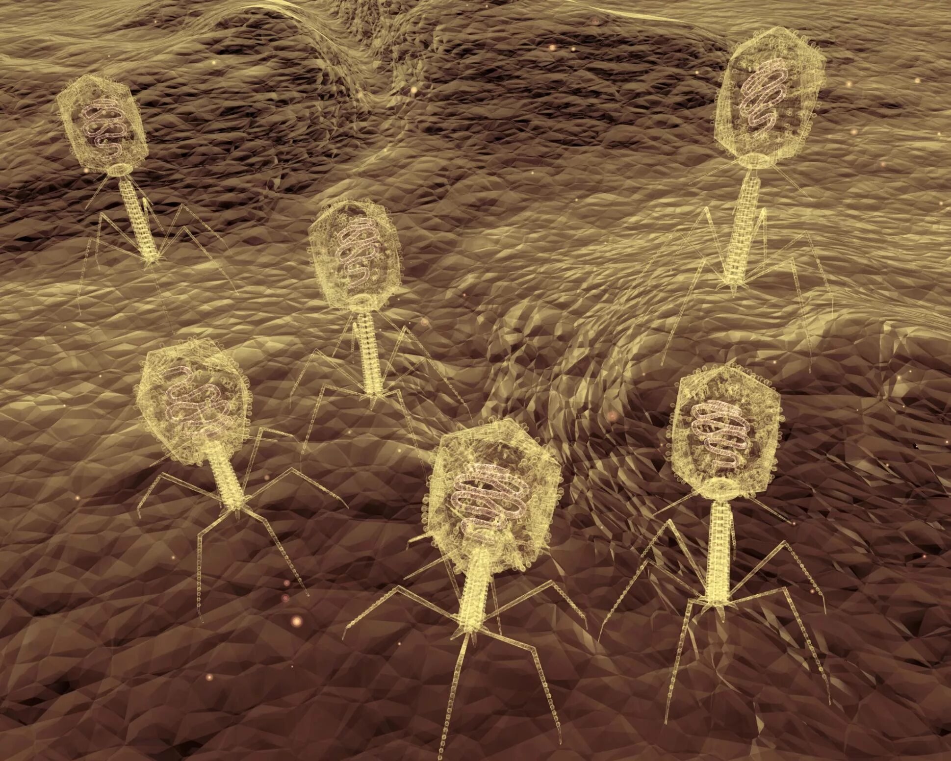 Вирусы под микроскопом. T4 Bacteriophage под микроскопом. Бактериофаг наноробот. Вирус бактериофаг микроскоп. Т4 бактериофаг микроскоп