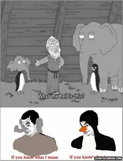 What the hell meme