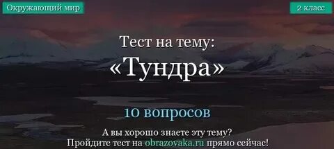 Окружающий мир тест по теме тундра