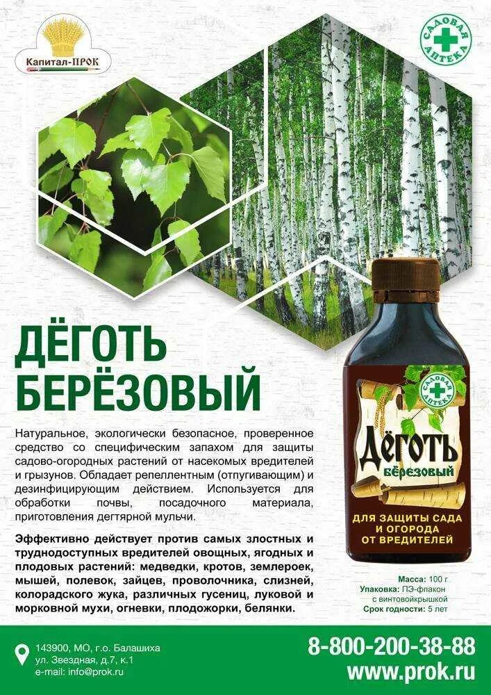 Деготь березовый для чего применяется в медицине. Березовый деготь. дёготь берёзовый для сада. деготь березовый применяется. березовый деготь на огороде.