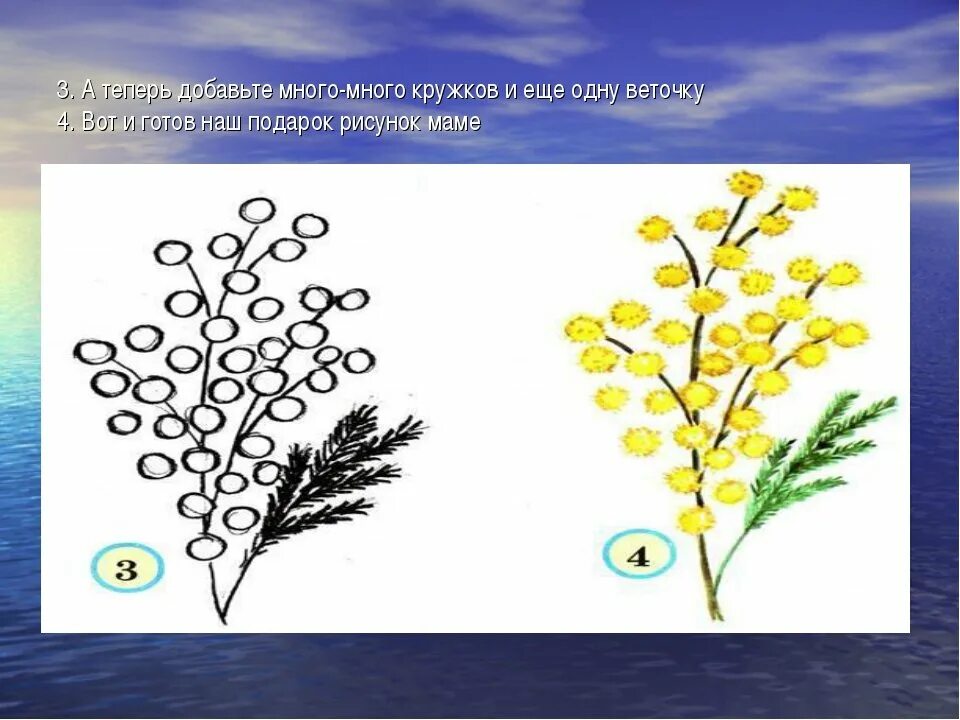Рисуем мимозу 1 класс