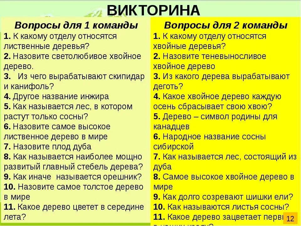 Вопросы для развлечений. Веселые вопросы для викторины. Вопросы для викторины для детей. Интересные вопросы для викторины для детей. Вопросы для детских викторин.