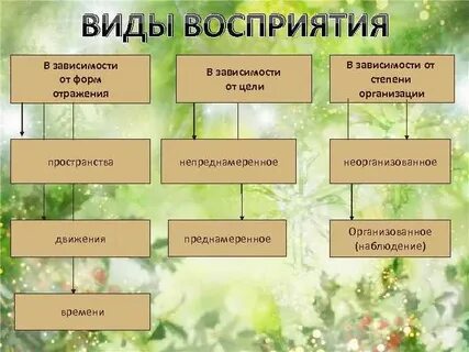 Планы восприятия