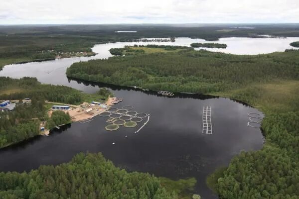 кала я марьяпоят костомукша